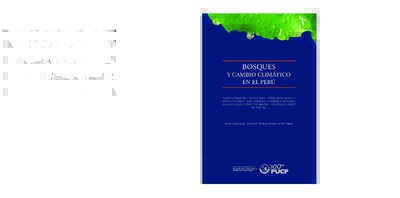 Bosques y Cambio Climático en el Perú
