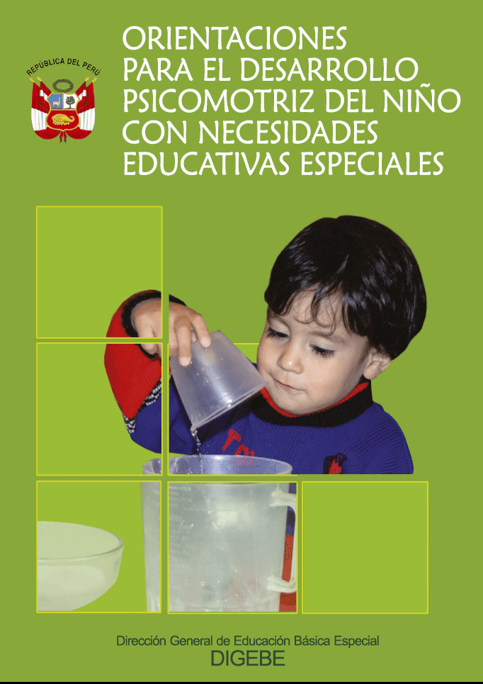 Orientaciones para el desarrollo psicomotriz del niño con necesidades educativas especiales Orientaciones para el desarrollo psicomotriz del niño con necesidades educativas especiales