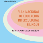 Plan Nacional de Educación Intercultural Bilingüe : matriz de planificación estratégica
